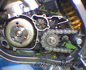 Photo 231421