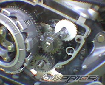 Photo 231422