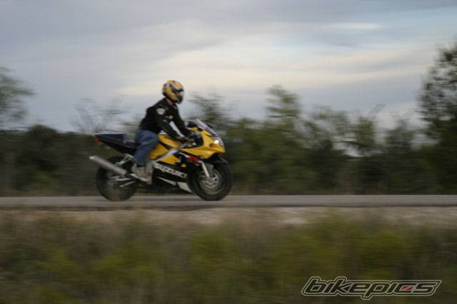Photo 231425
