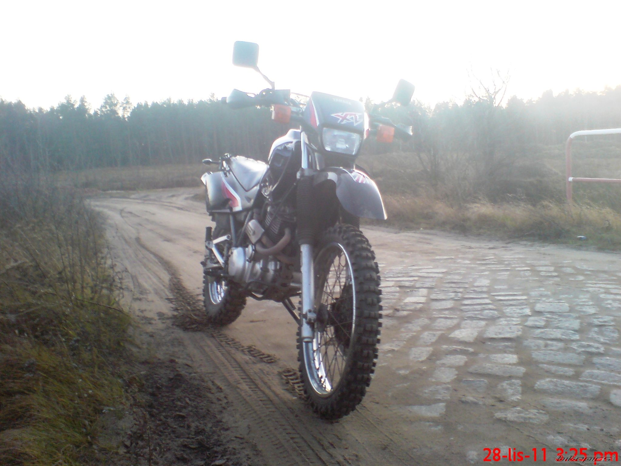 Photo 2314417