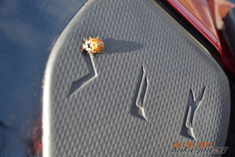 Photo 2314439