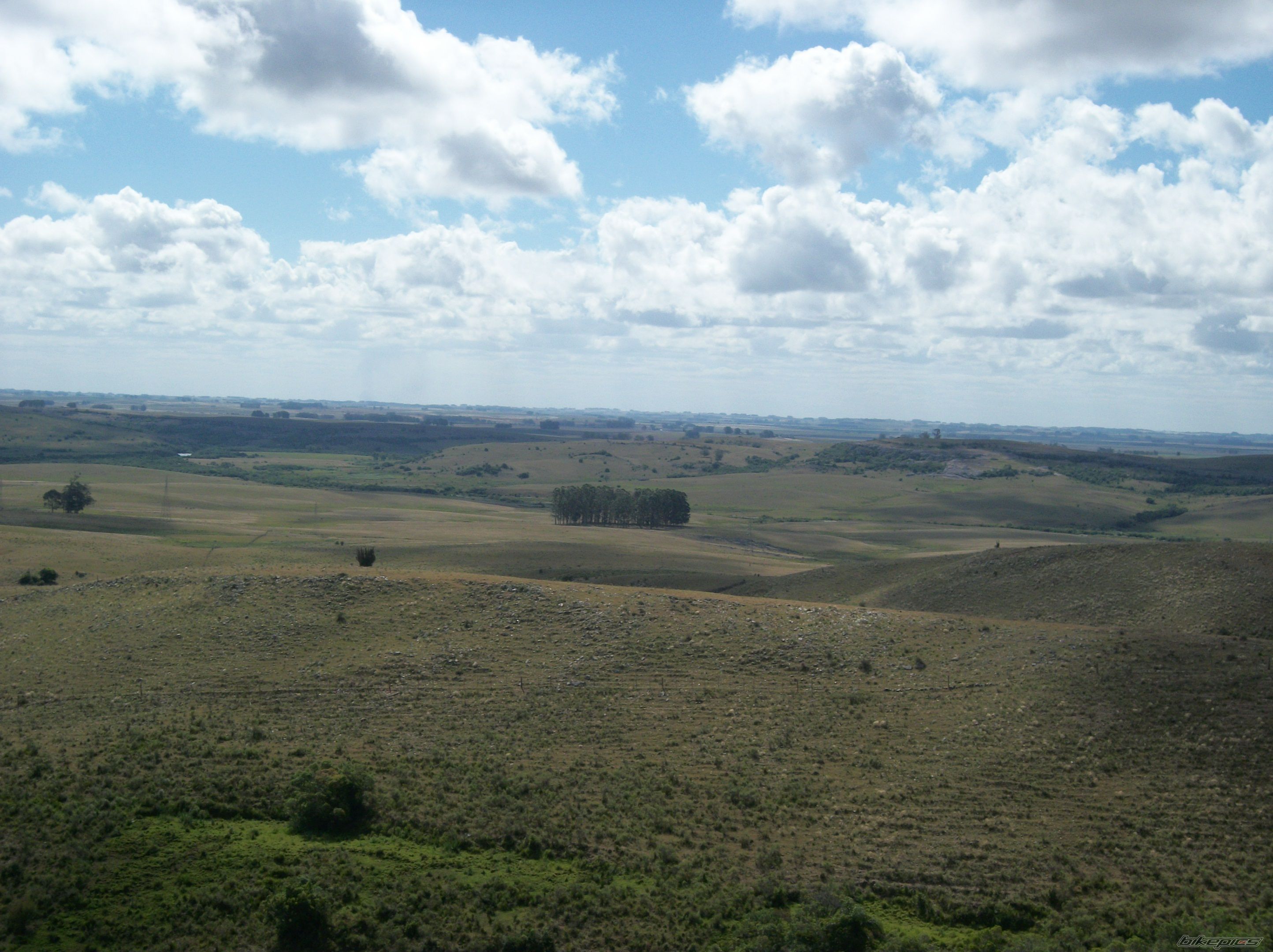 Photo 2314601