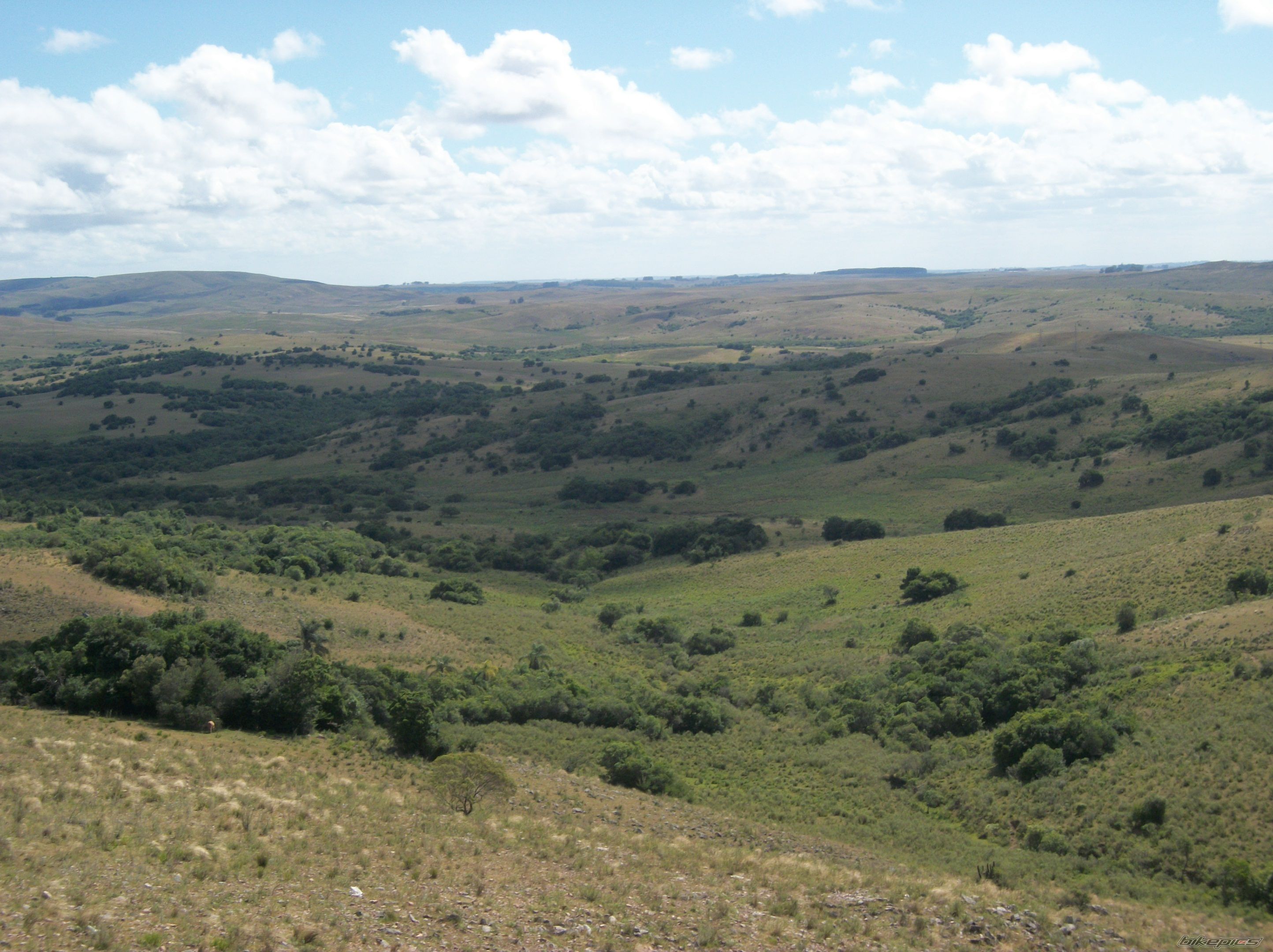 Photo 2314603
