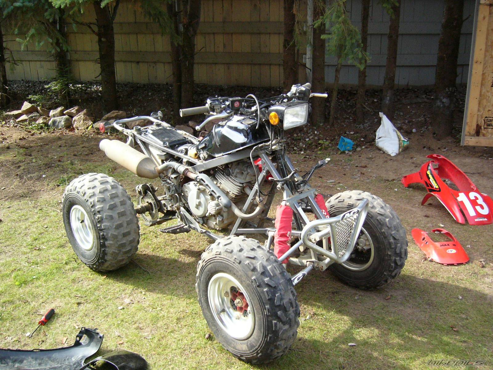 Photo 231464