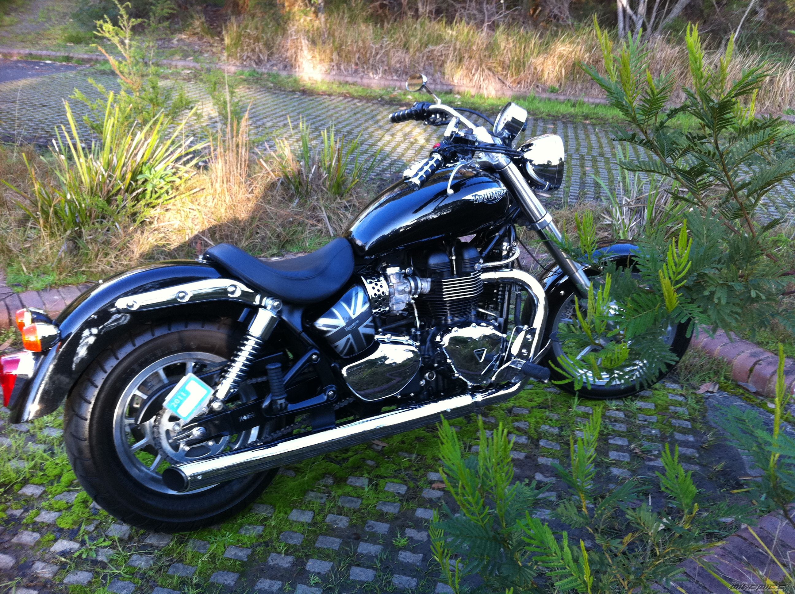 Photo 2314673