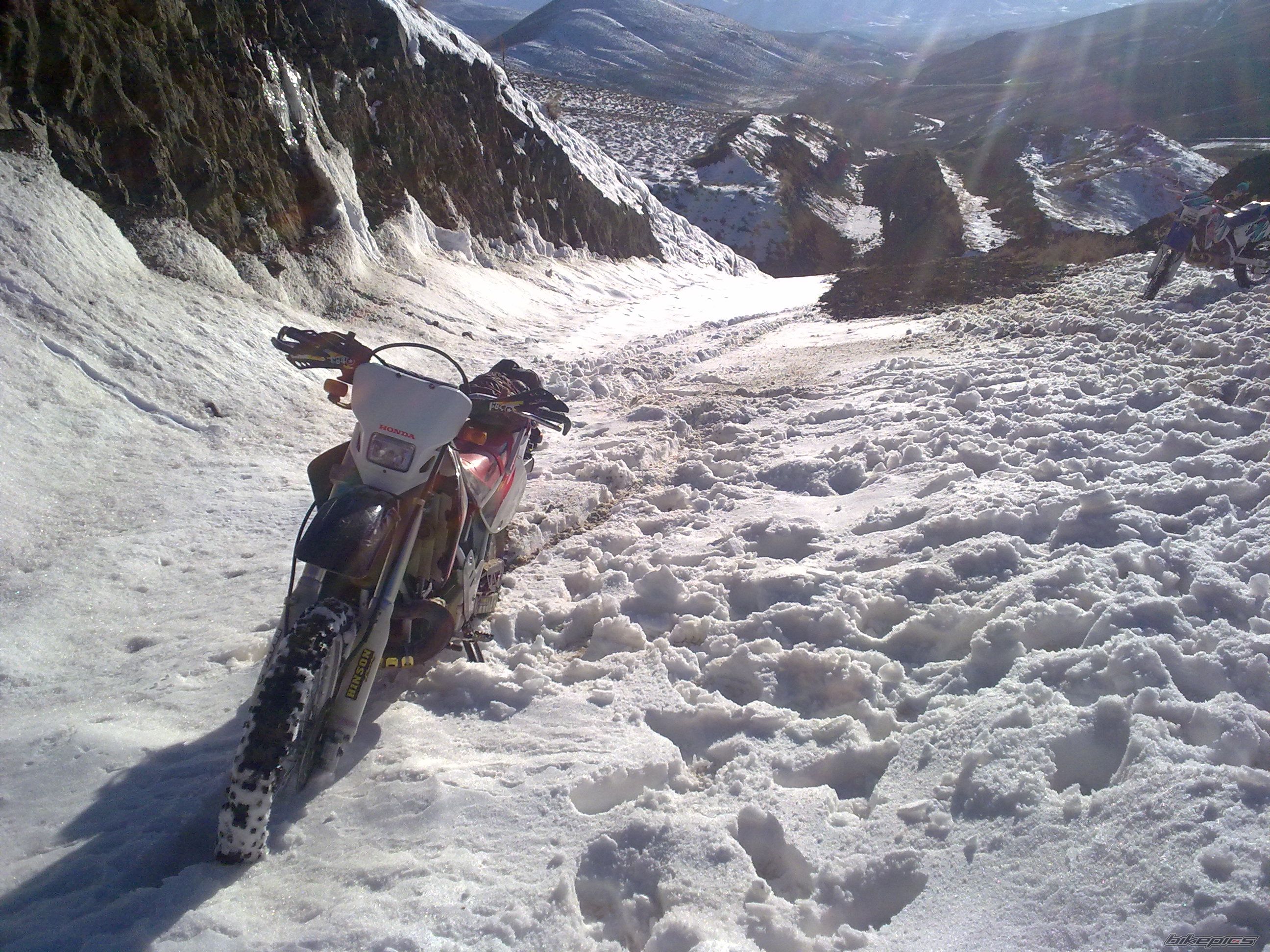 Bike Photo 2314687