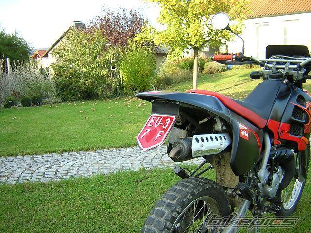 Photo 231471
