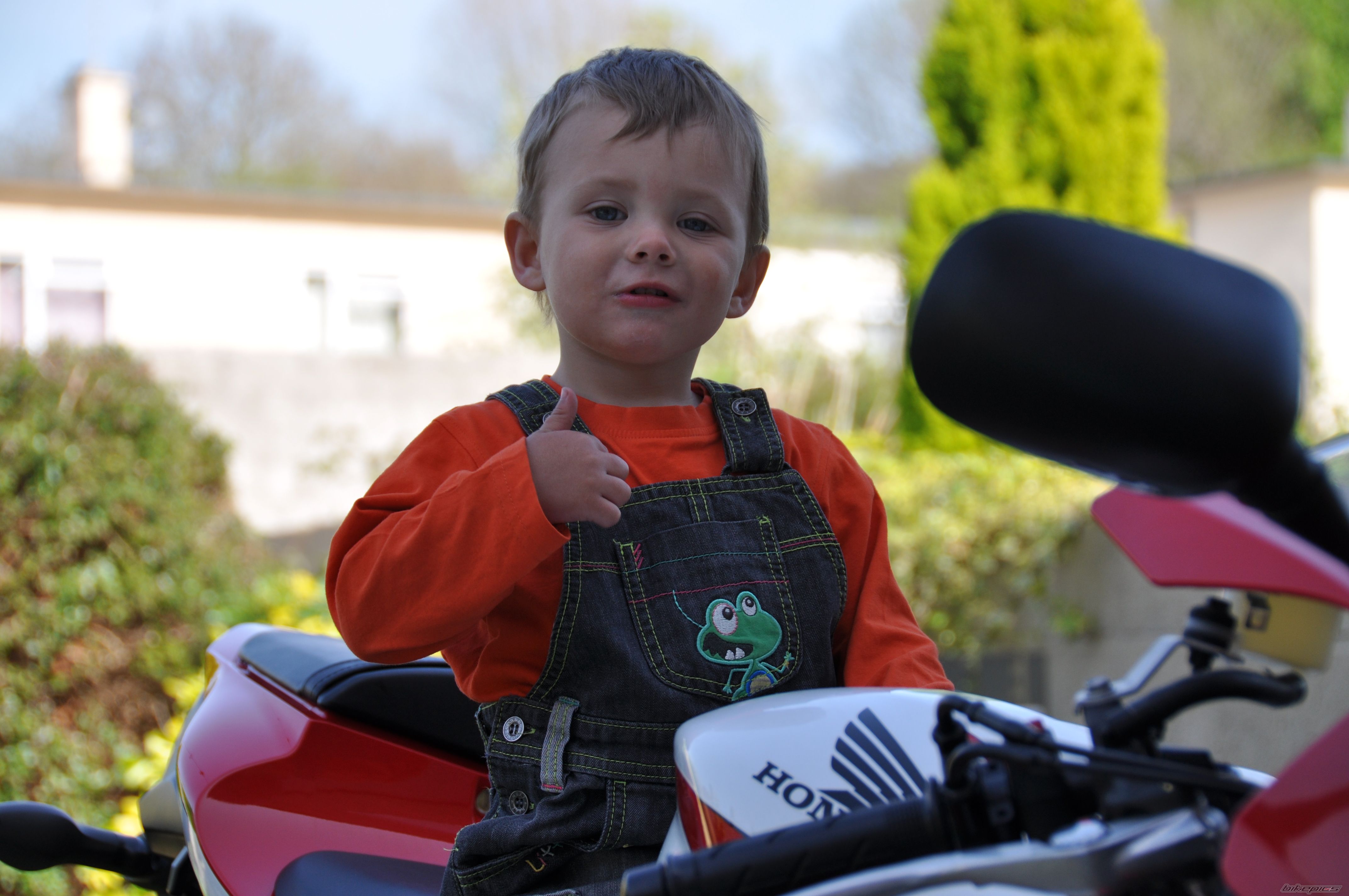 Photo 2314730