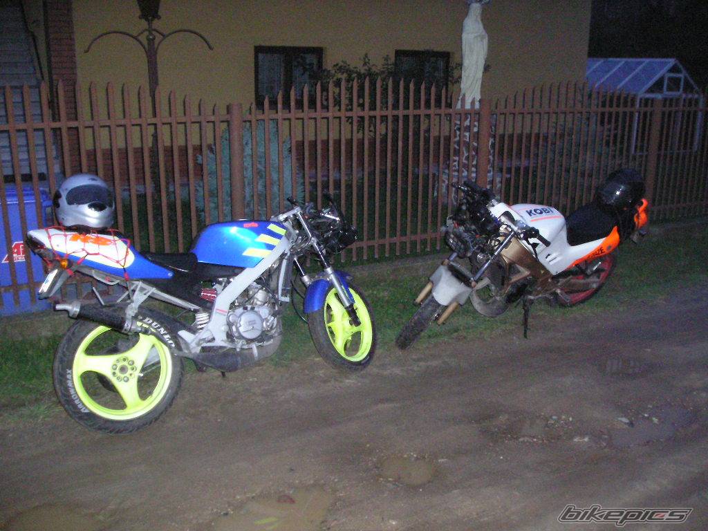 Photo 231478