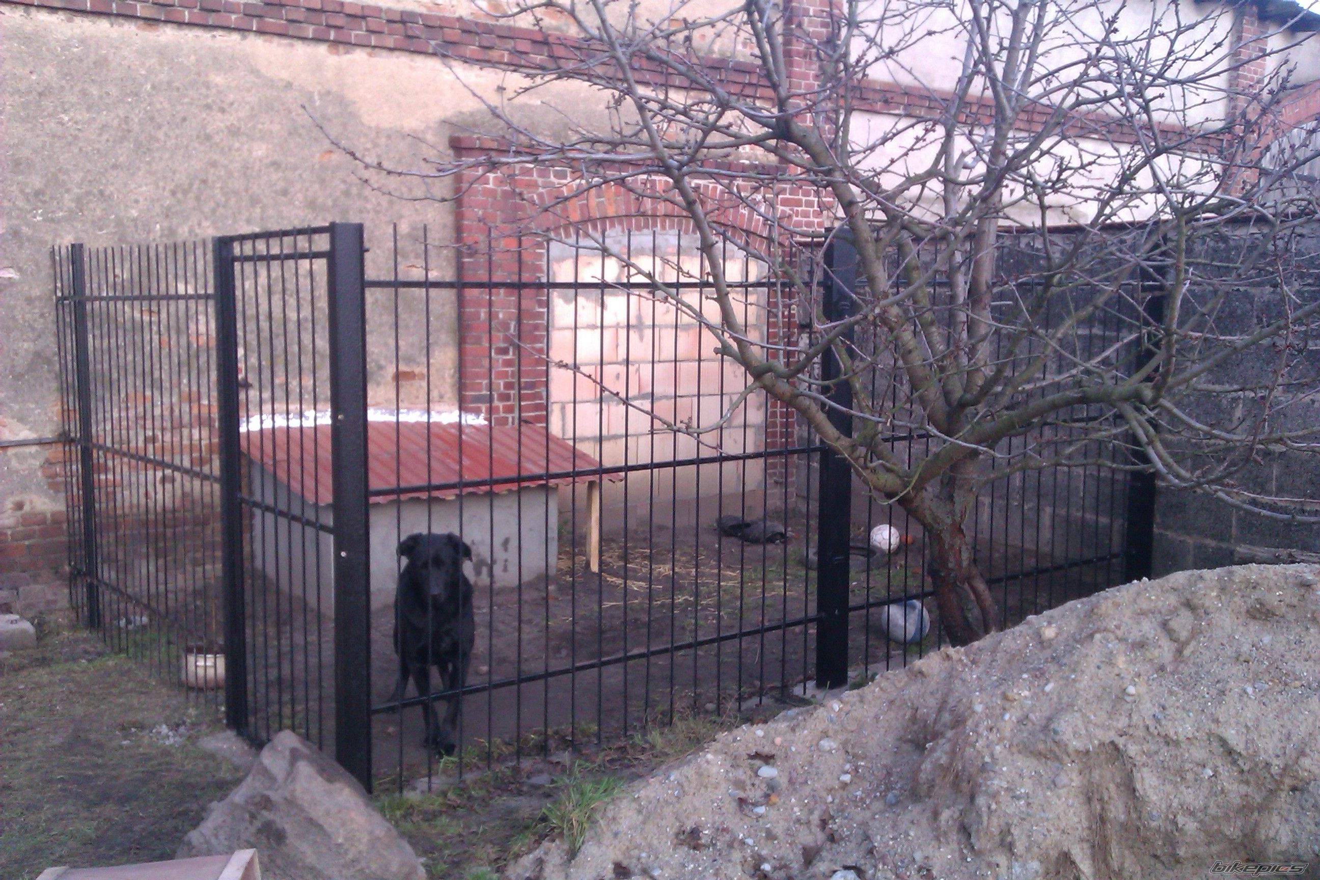 Photo 2314844