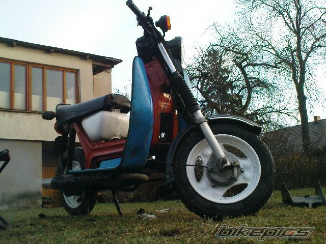 Photo 2314880