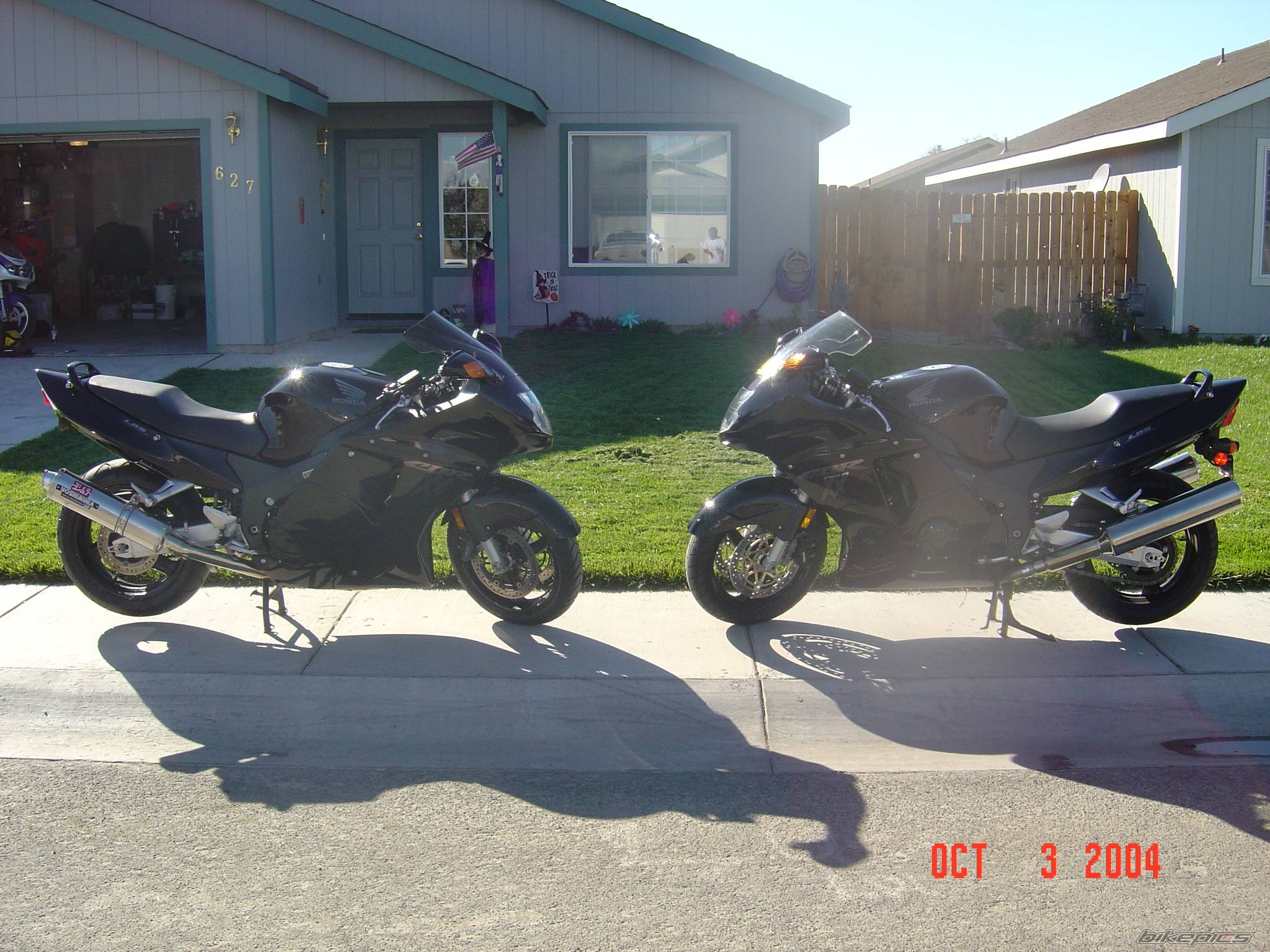 Photo 231501