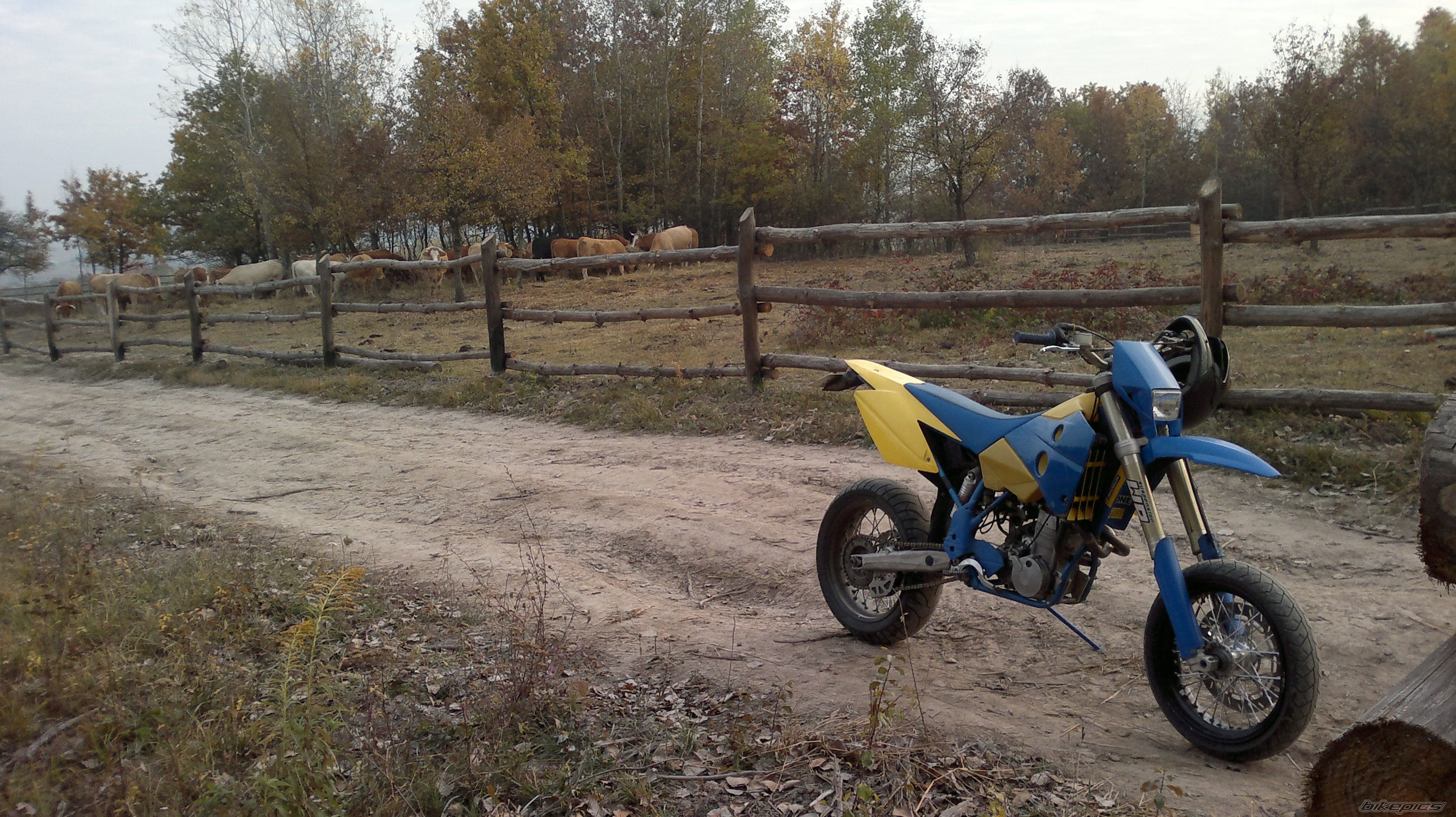 Photo 2315048