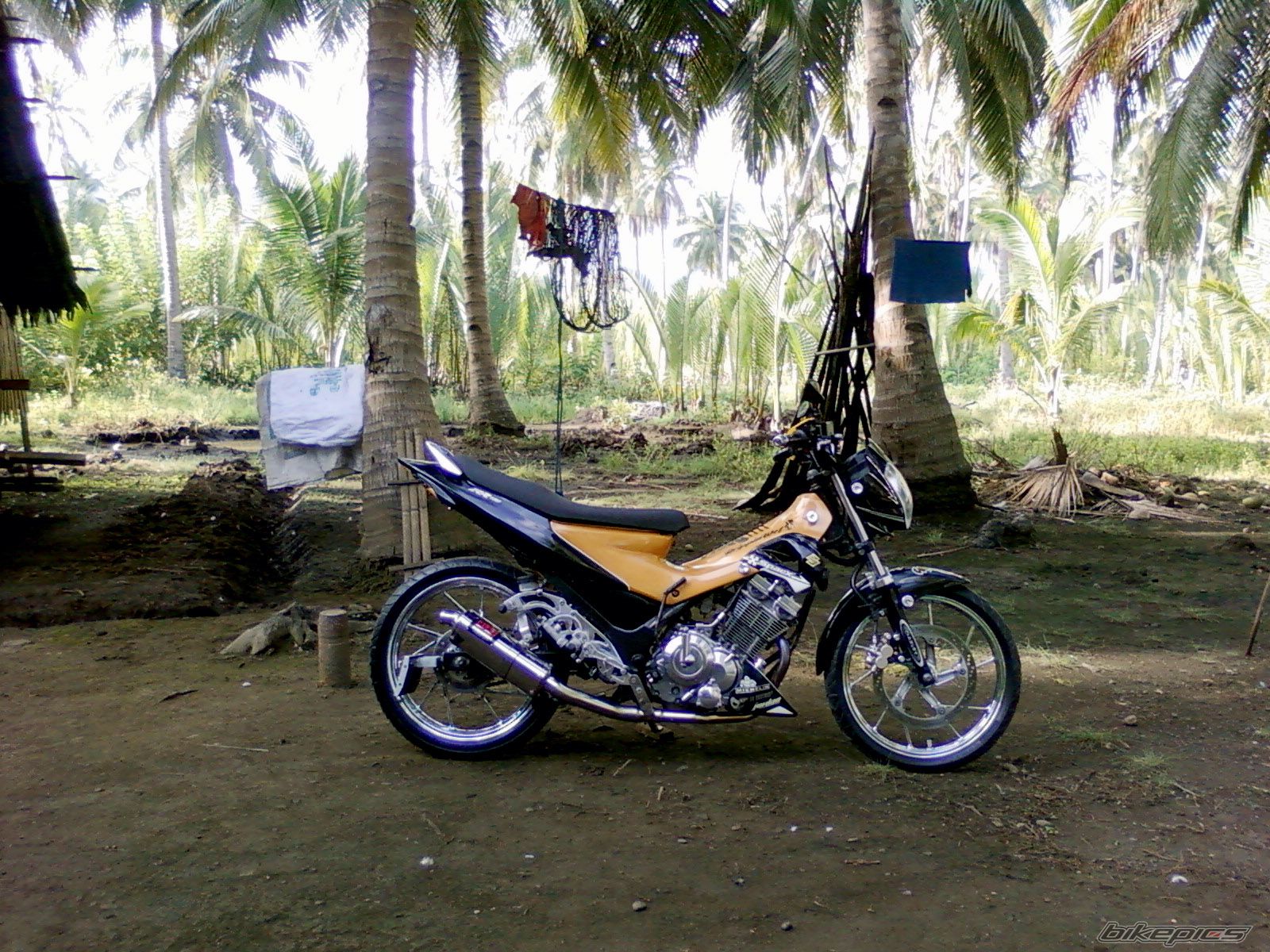 Photo 2315158