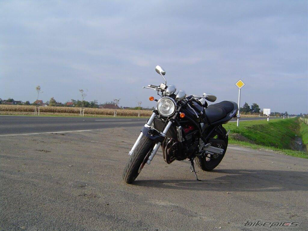 Photo 231524
