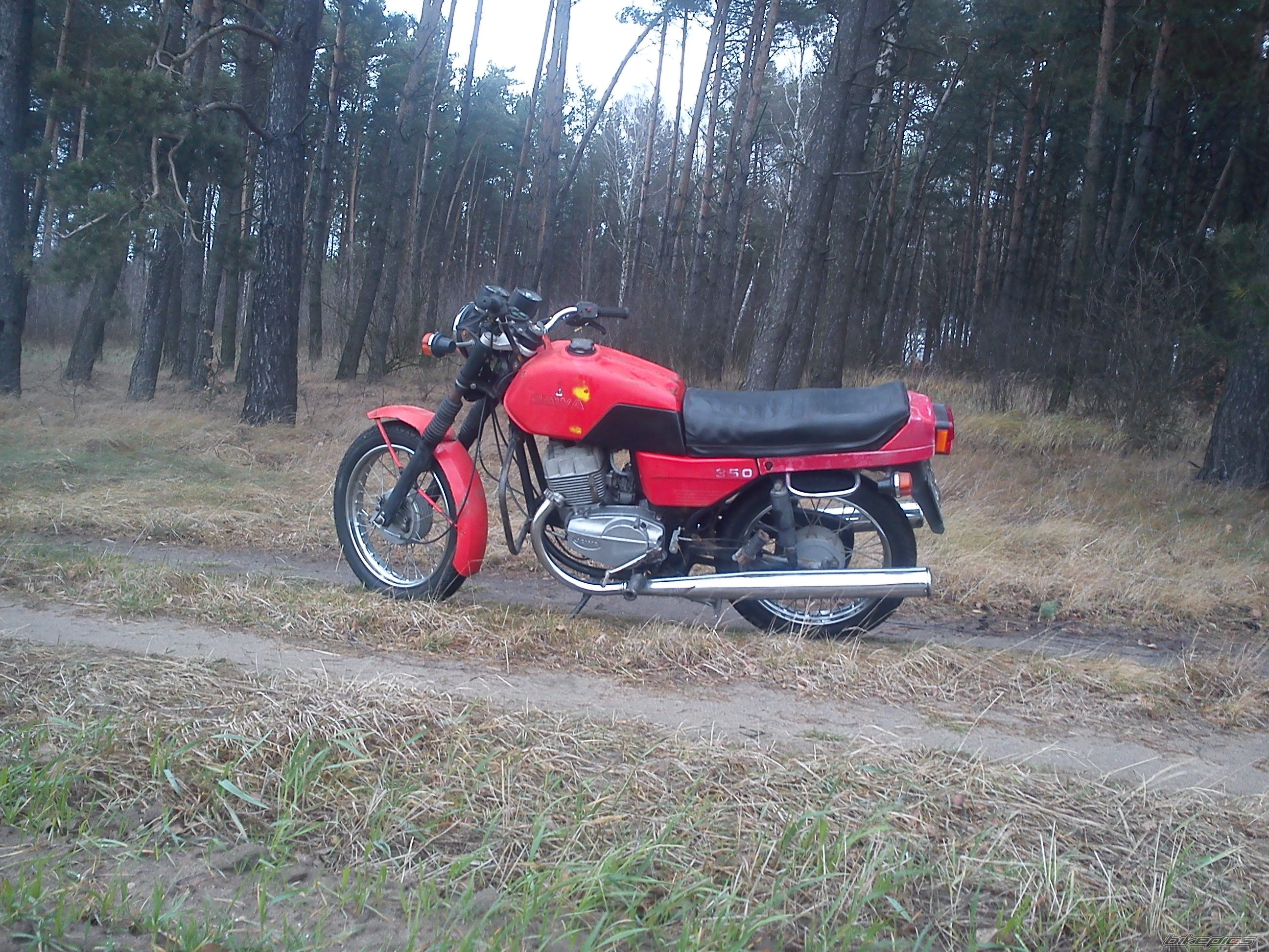 Photo 2315264