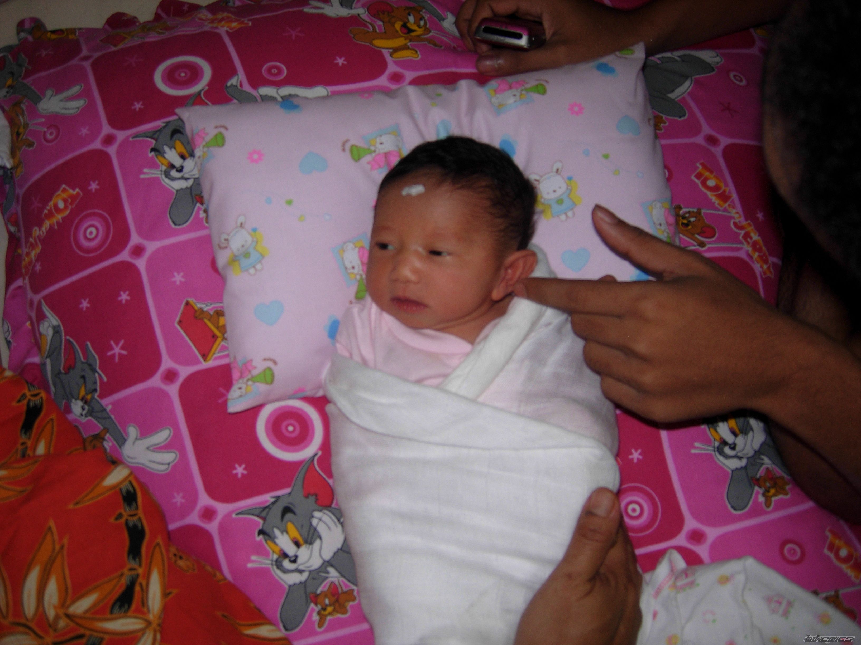 Photo 2315275