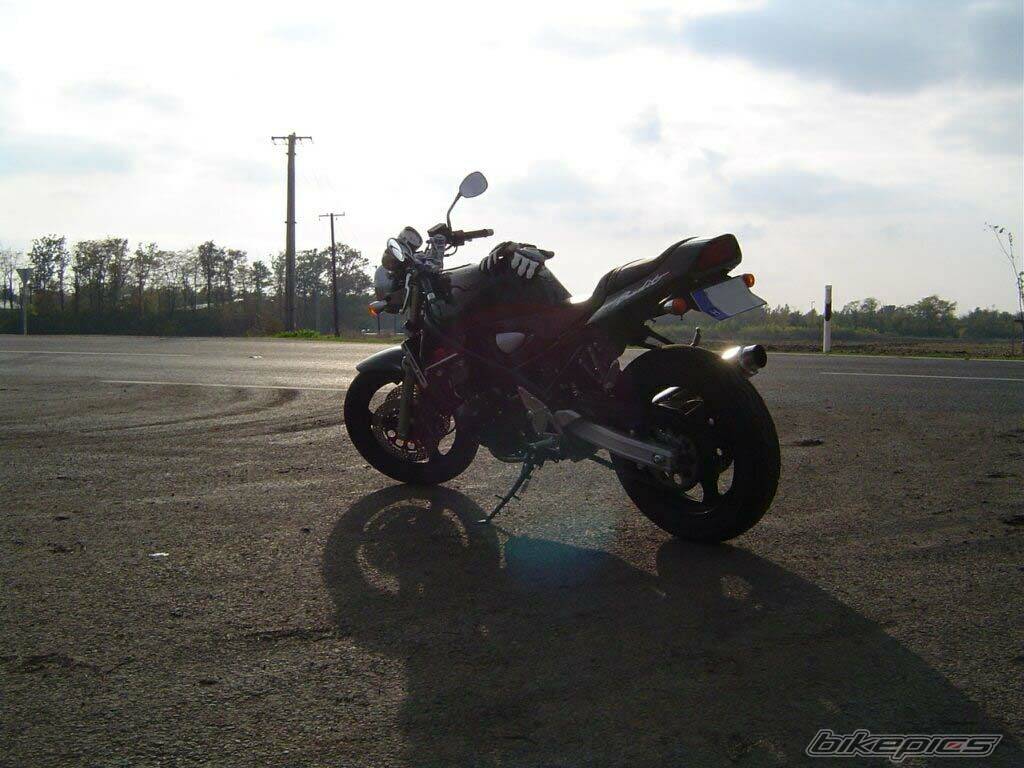 Photo 231540