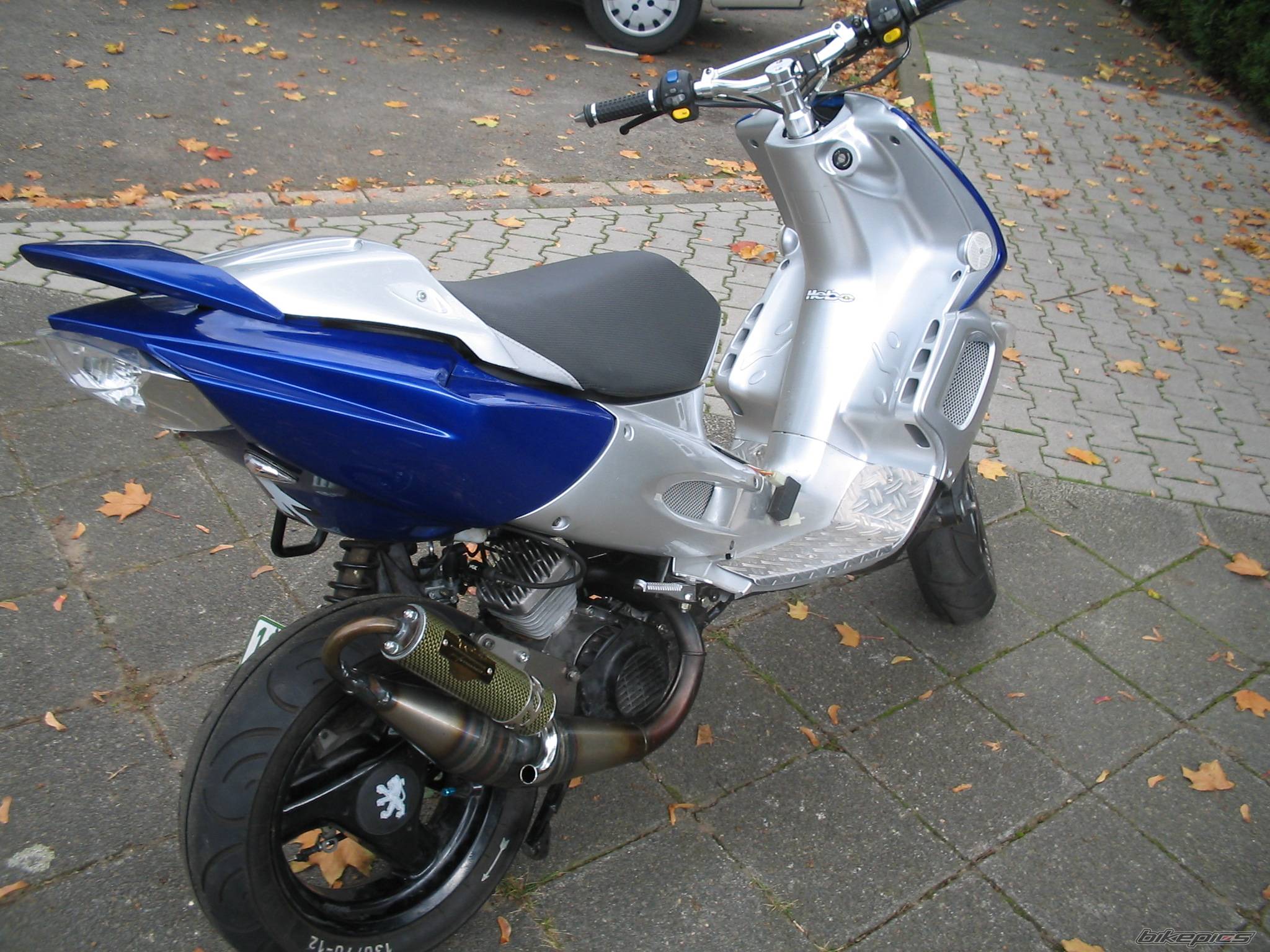 Photo 231541