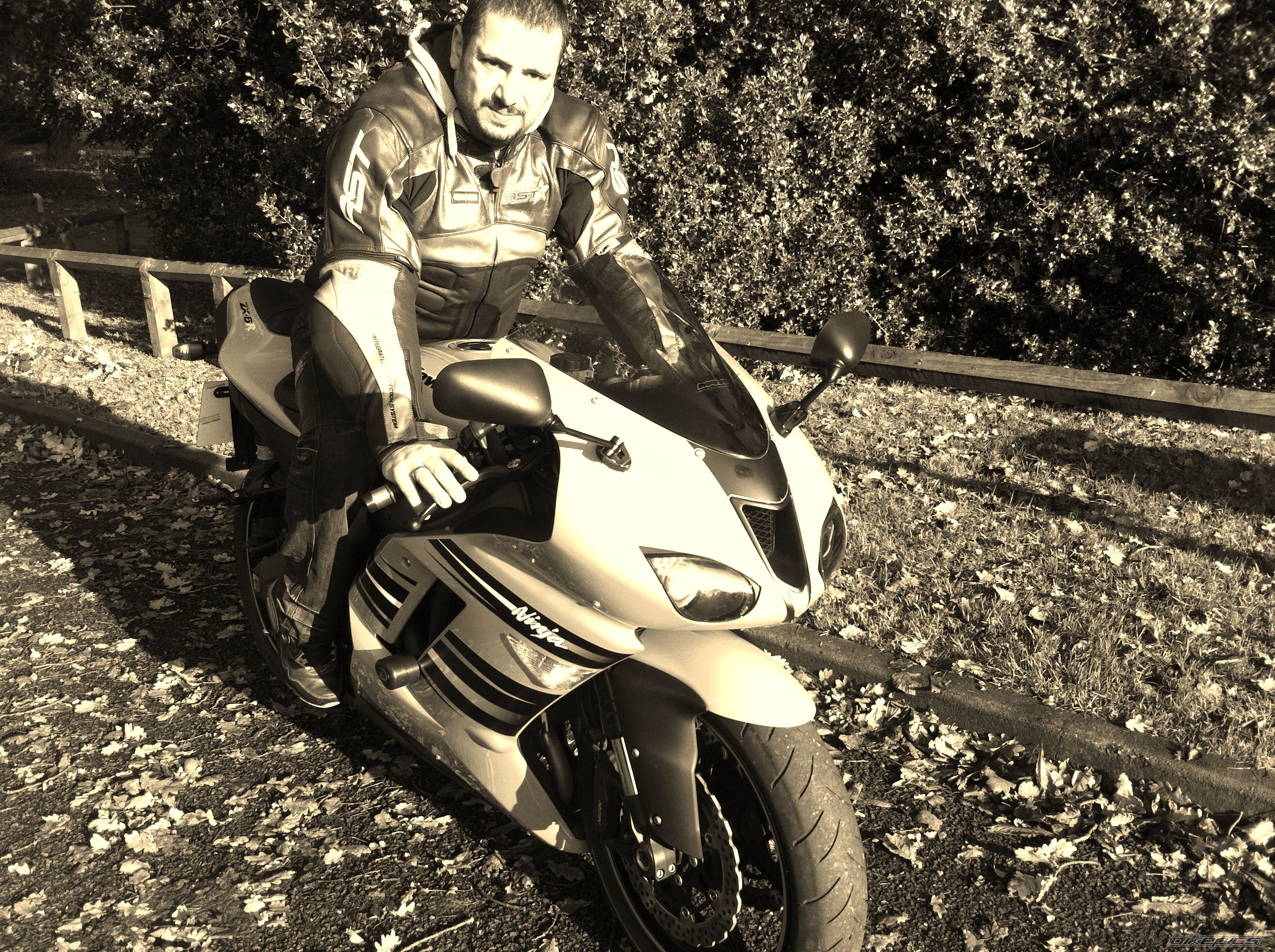 Photo 2315413