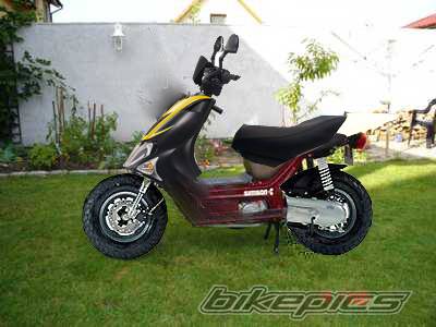 Photo 231543