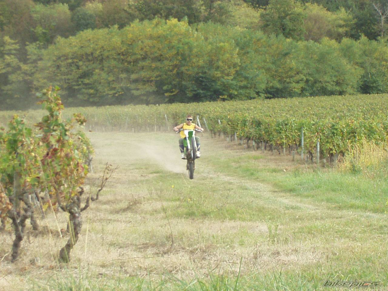 Bike Photo 231544
