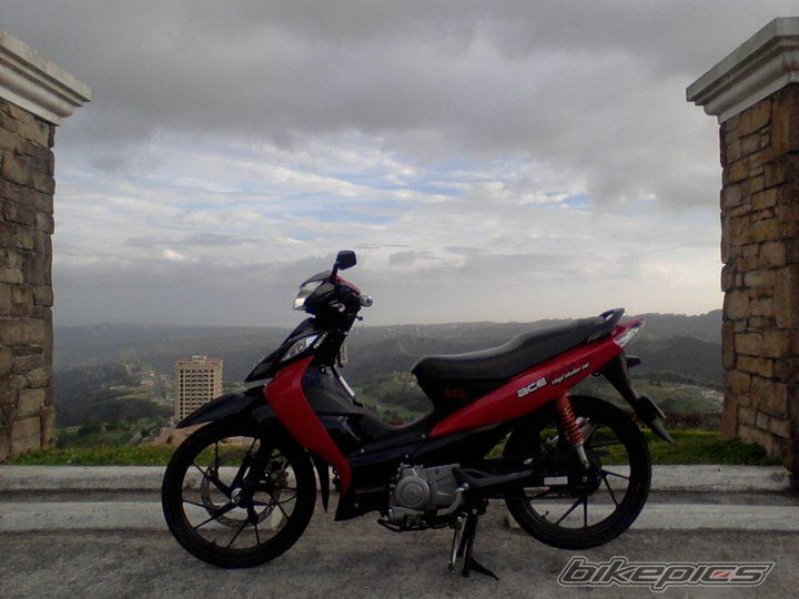 Photo 2315492