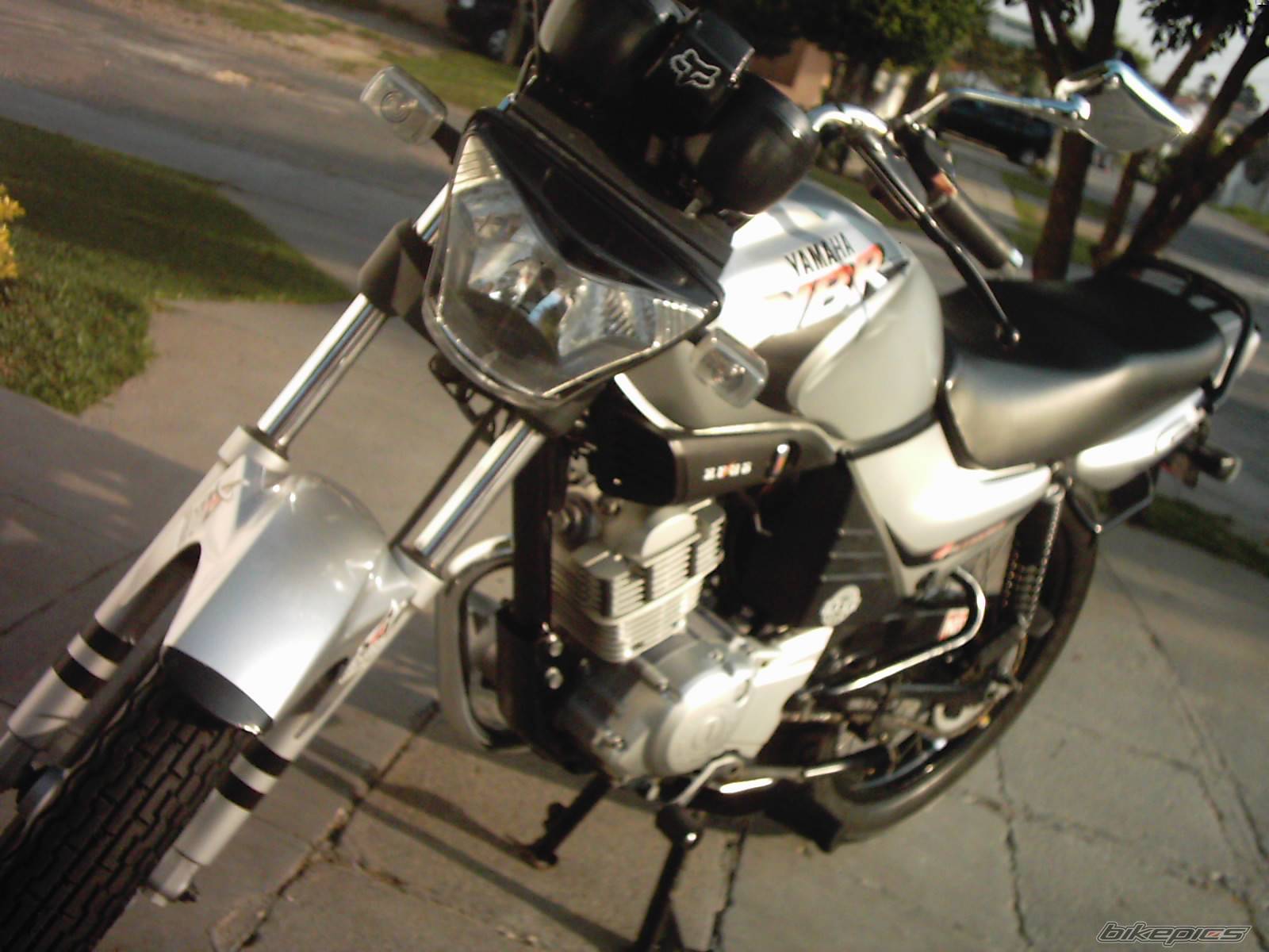 Photo 231551