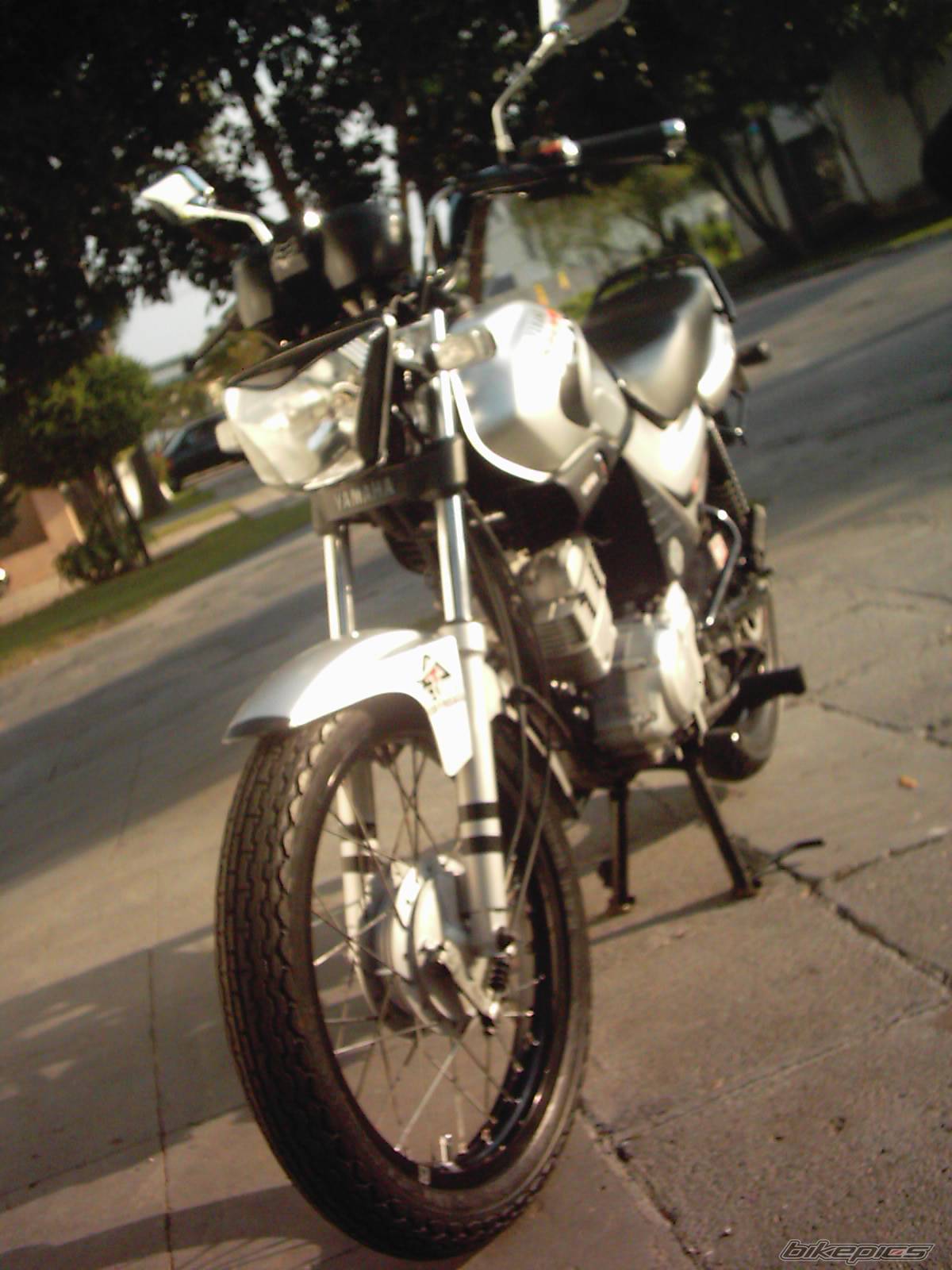Photo 231553