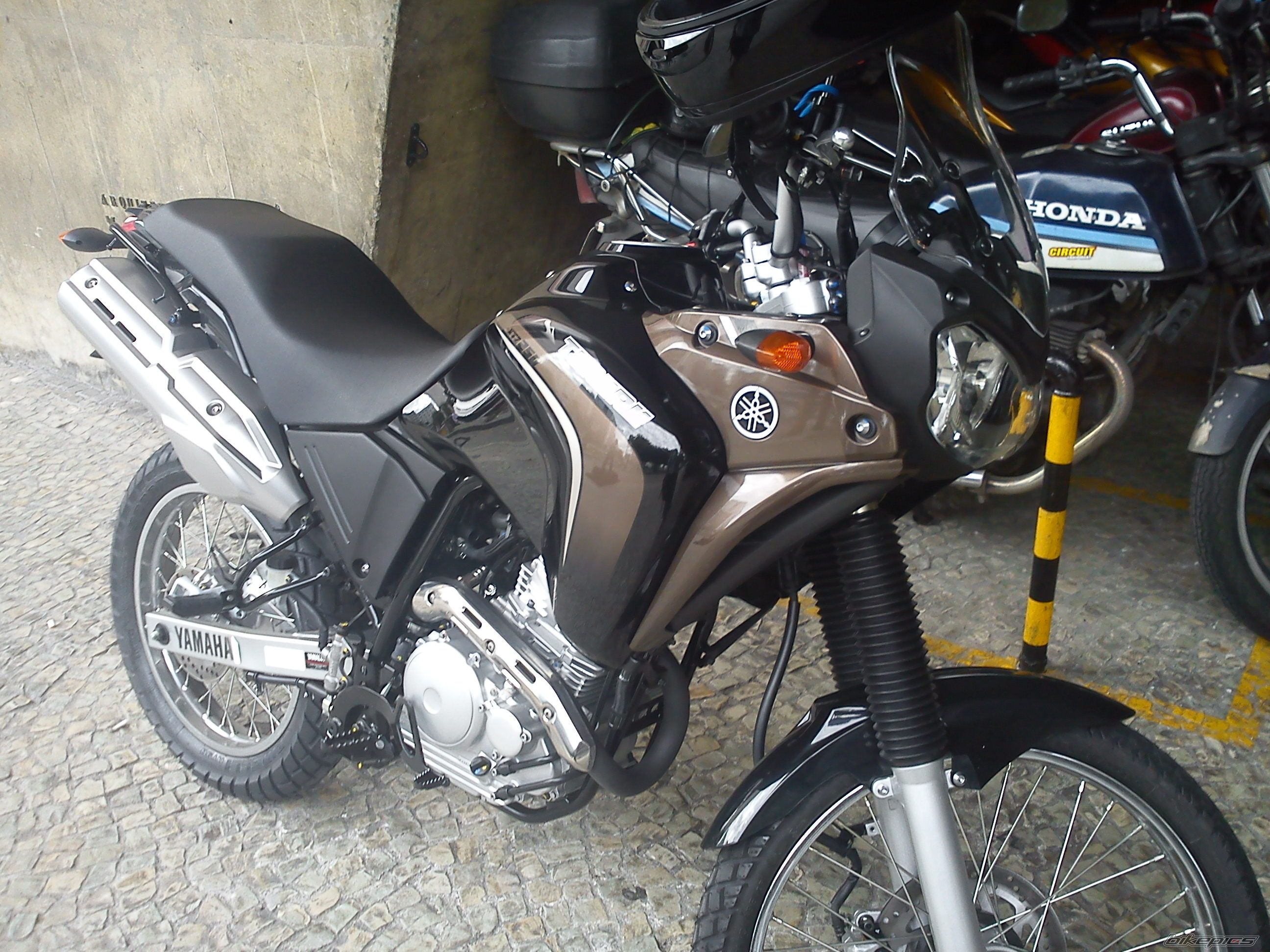 Photo 2315559