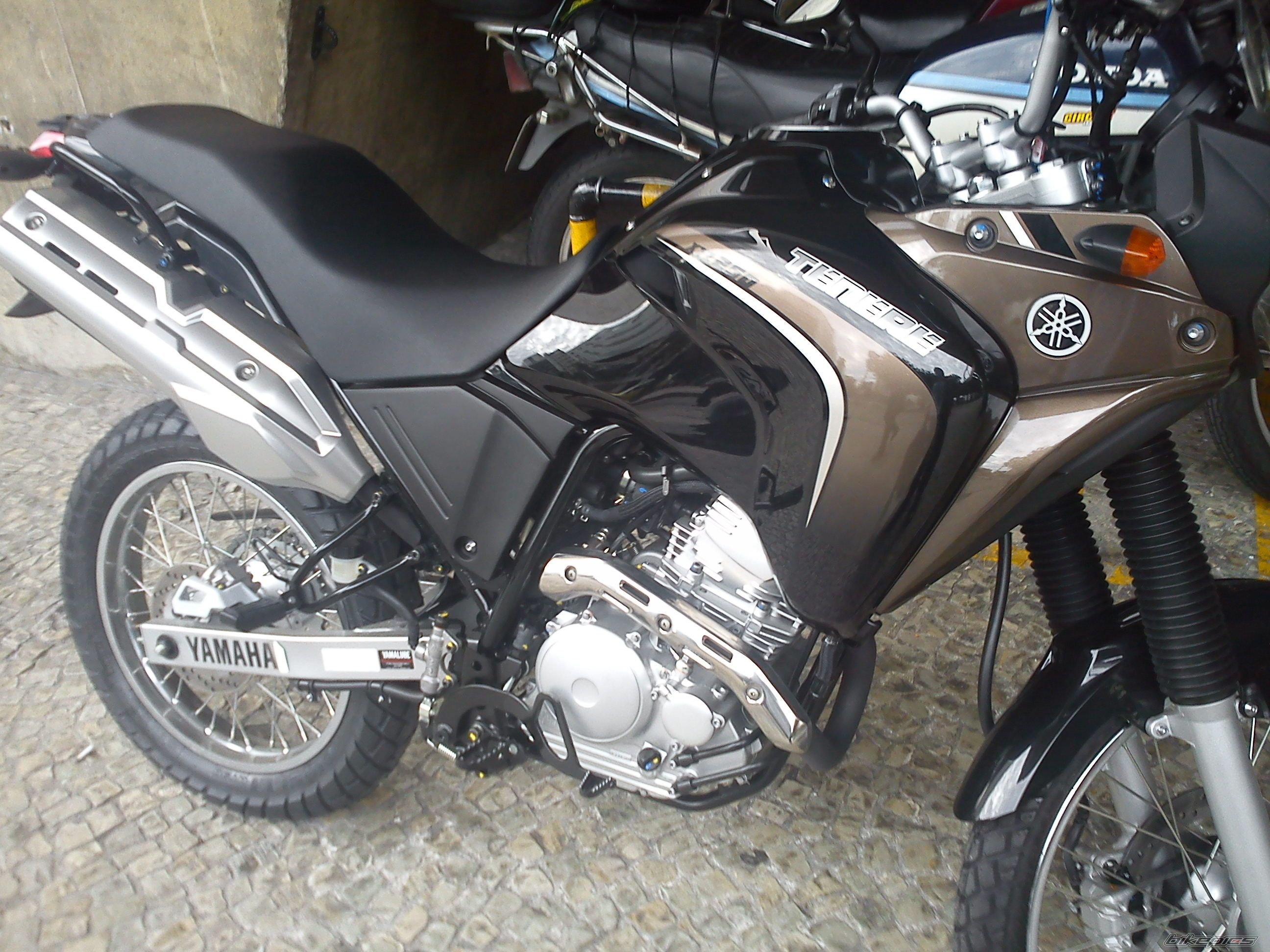 Photo 2315560