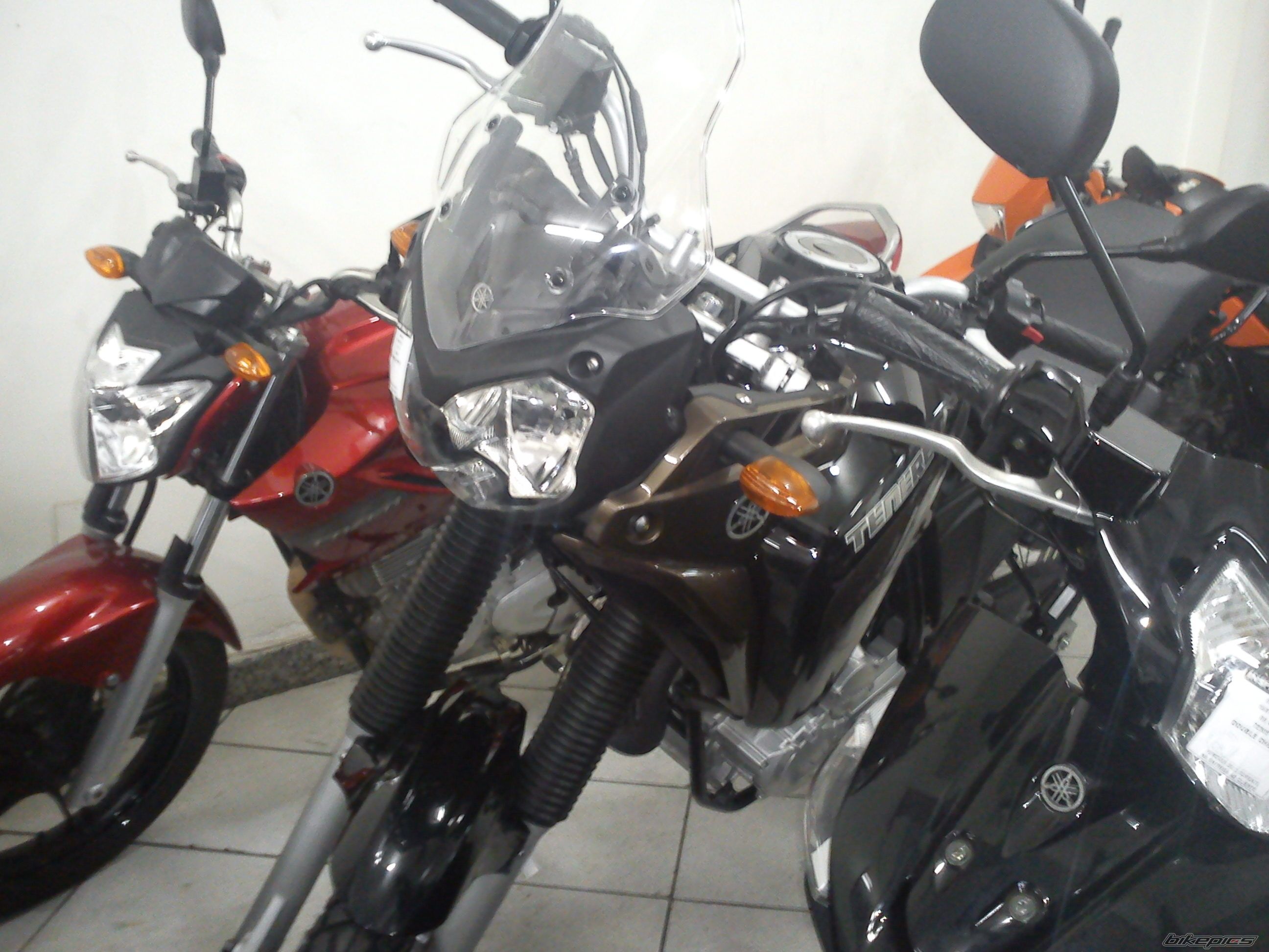 Photo 2315563