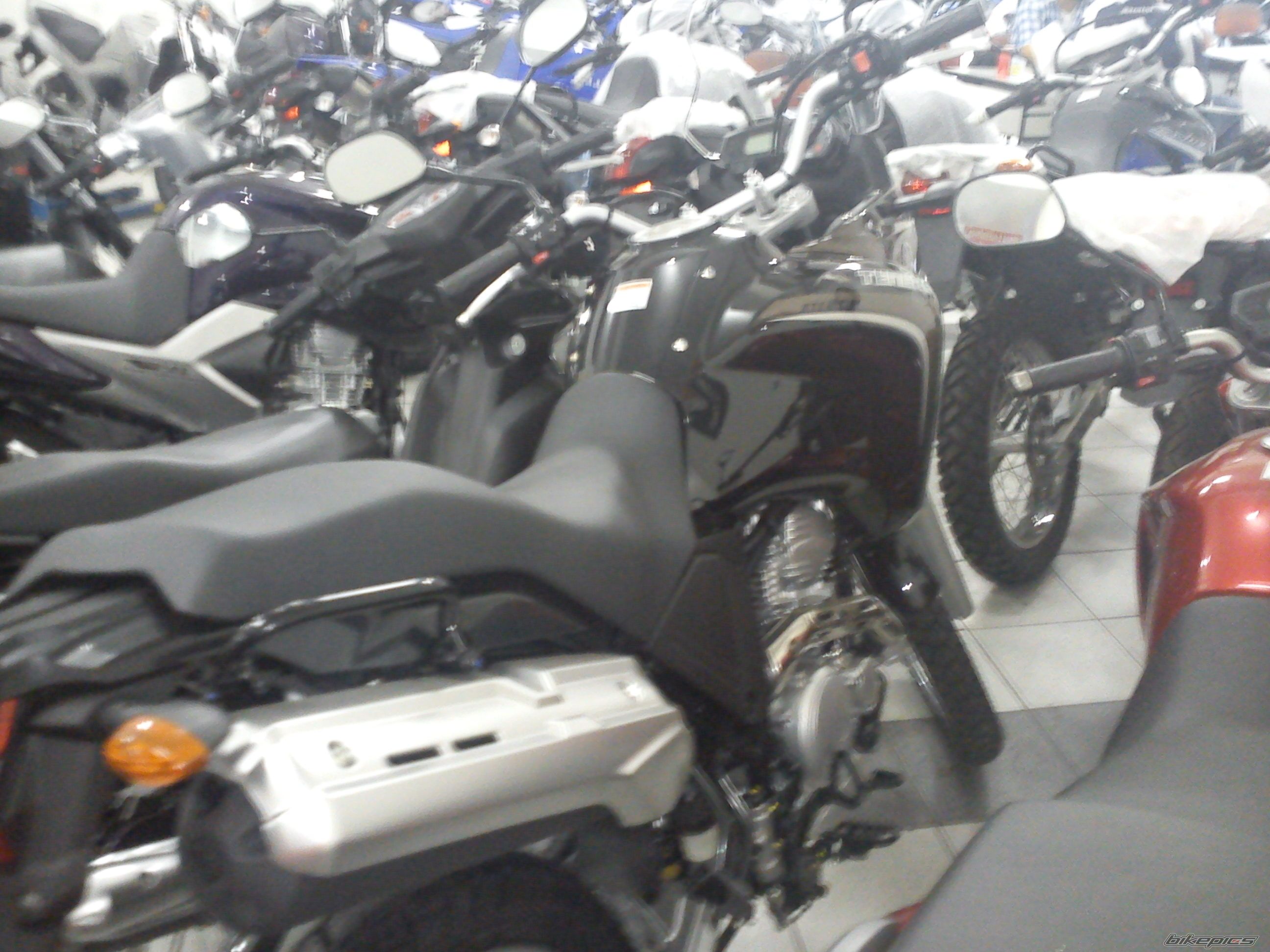 Photo 2315564
