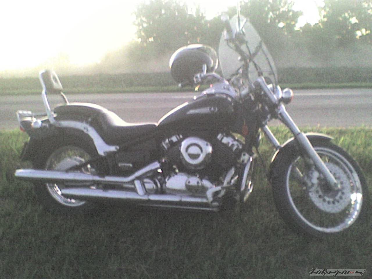 Photo 2315599