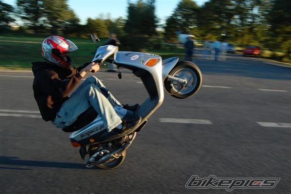 Photo 2315640