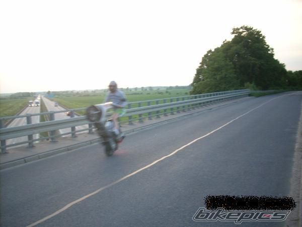 Photo 2315641