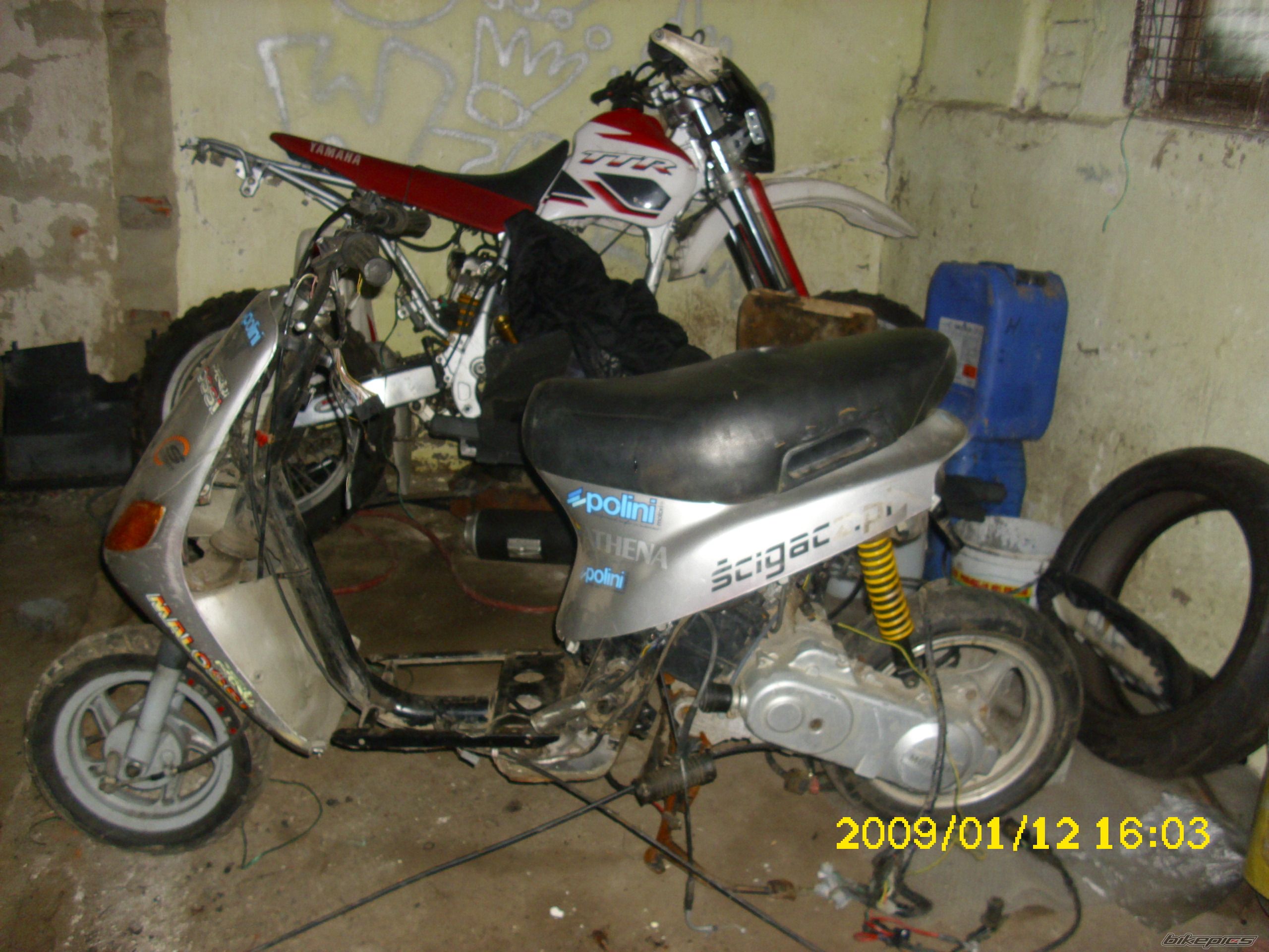 Photo 2315643