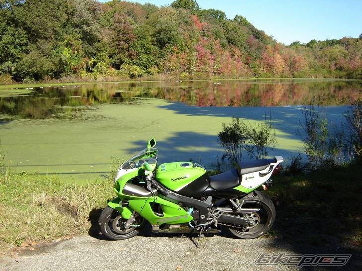 Photo 231568