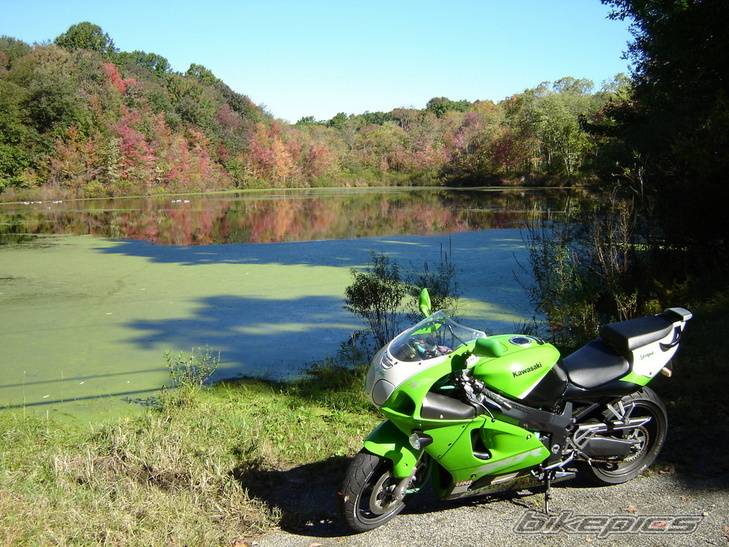 Bike Photo 231569