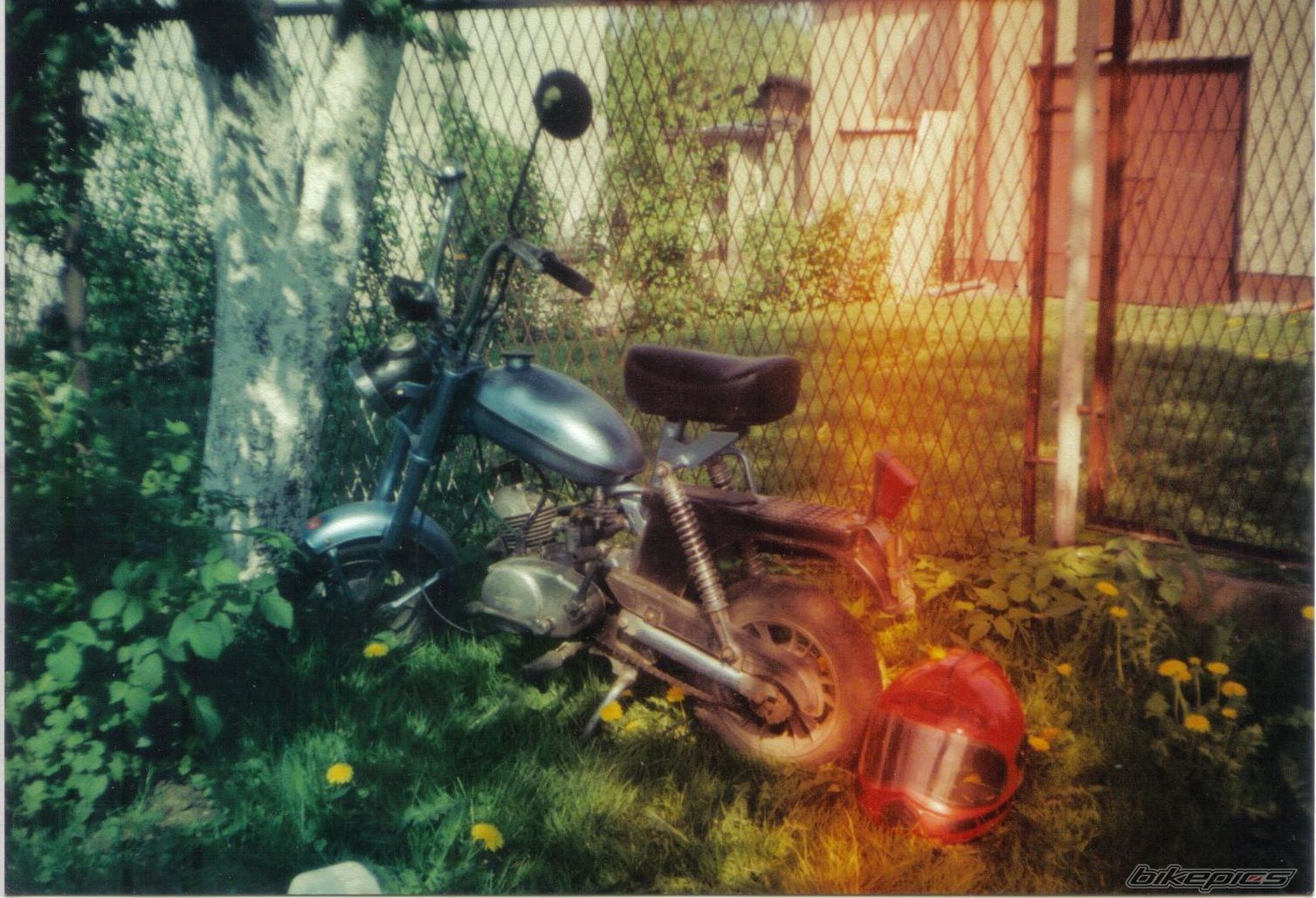 Photo 2315739