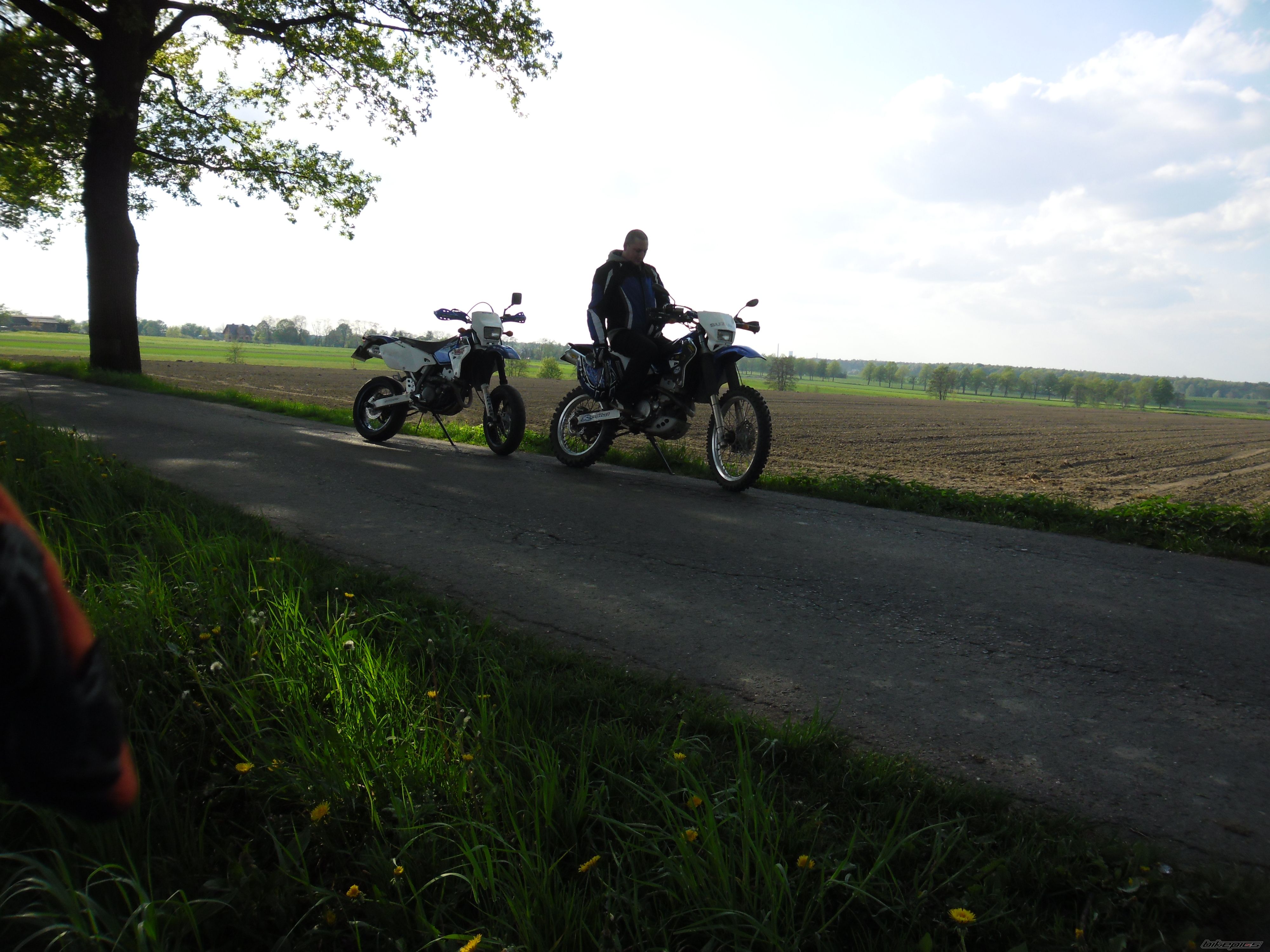 Photo 2315859