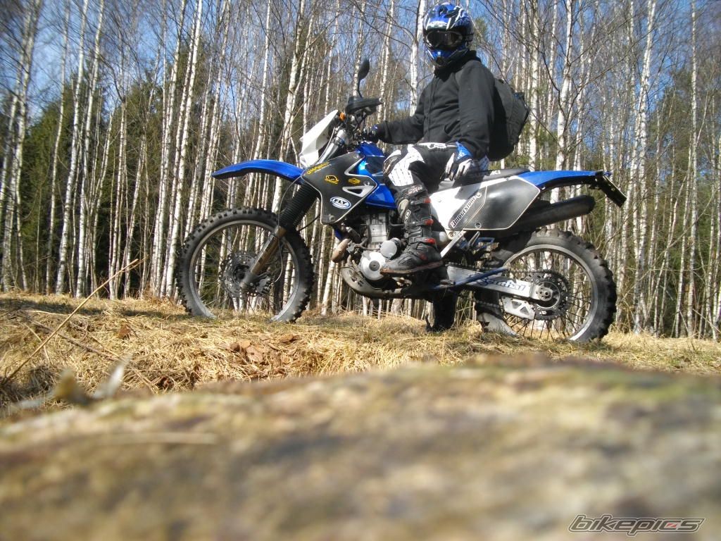 Photo 2315860