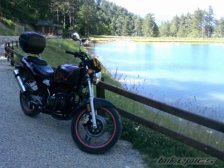 Photo 2315892