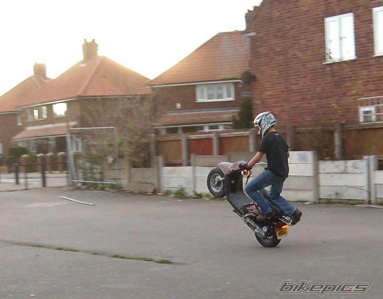 Bike Photo 2316021