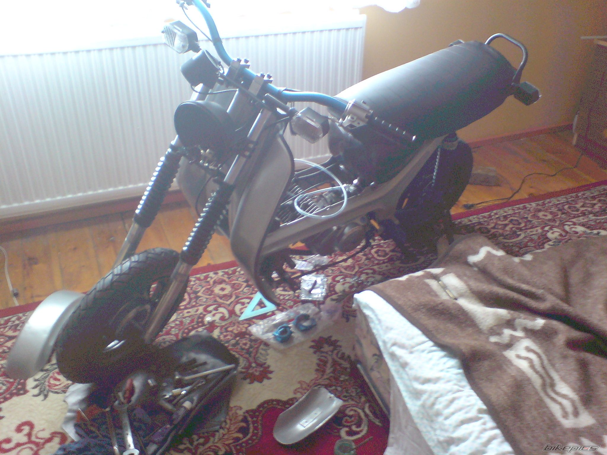 Photo 2316134