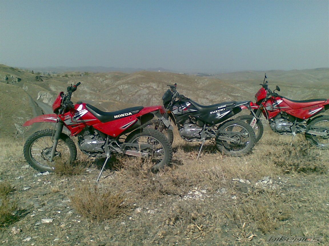 Photo 2316190