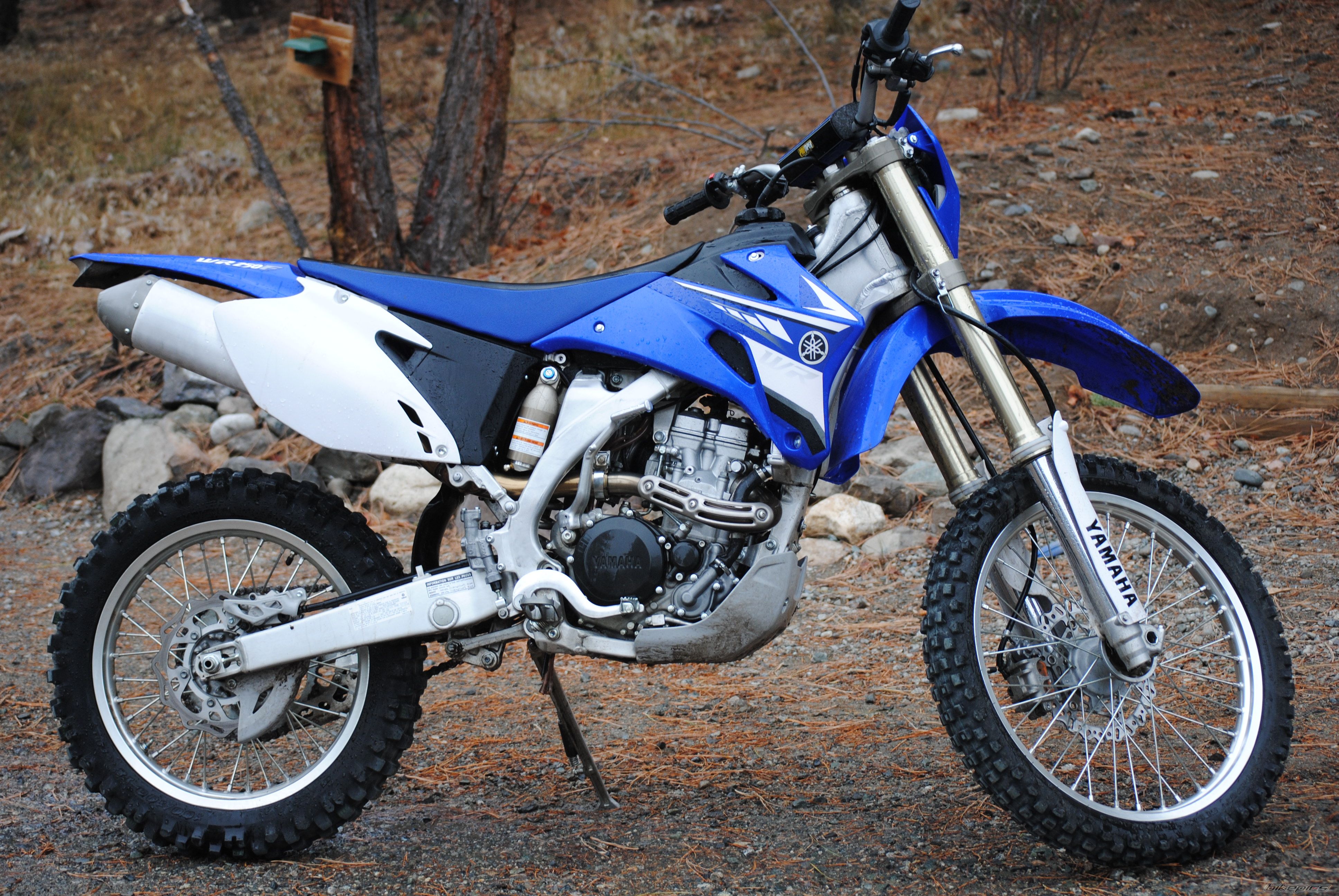 Photo 2316223
