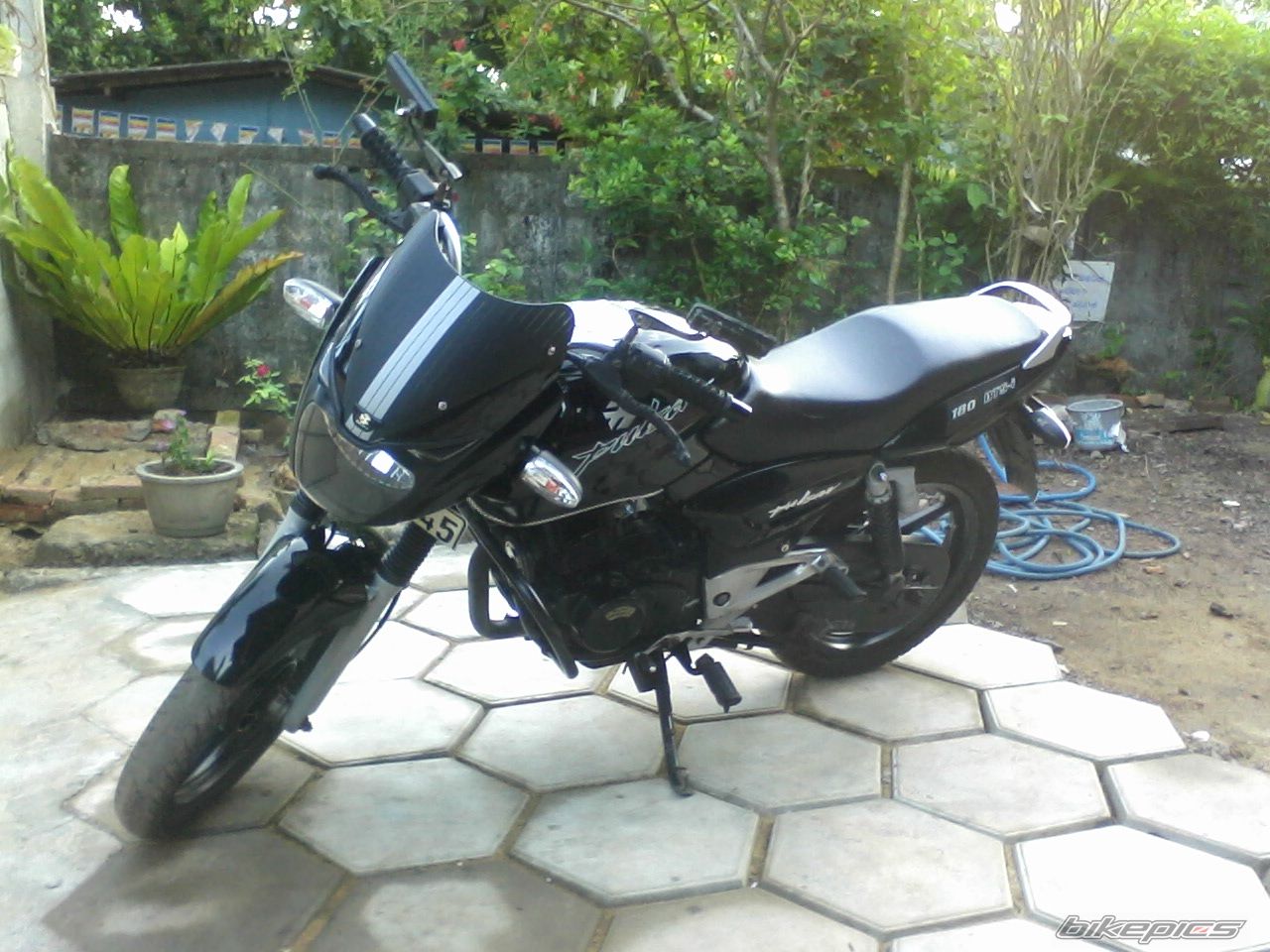 Photo 2316233