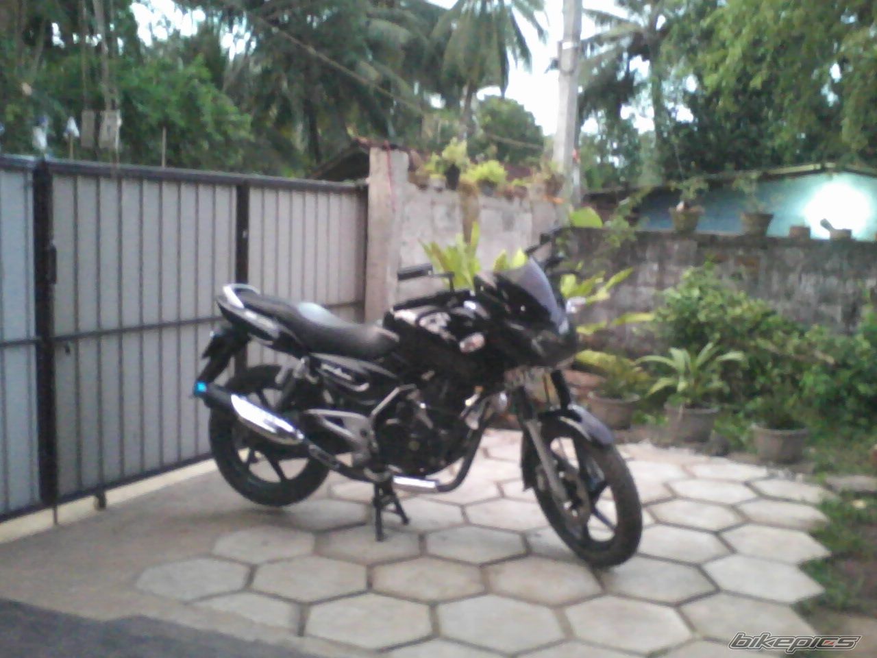 Photo 2316236