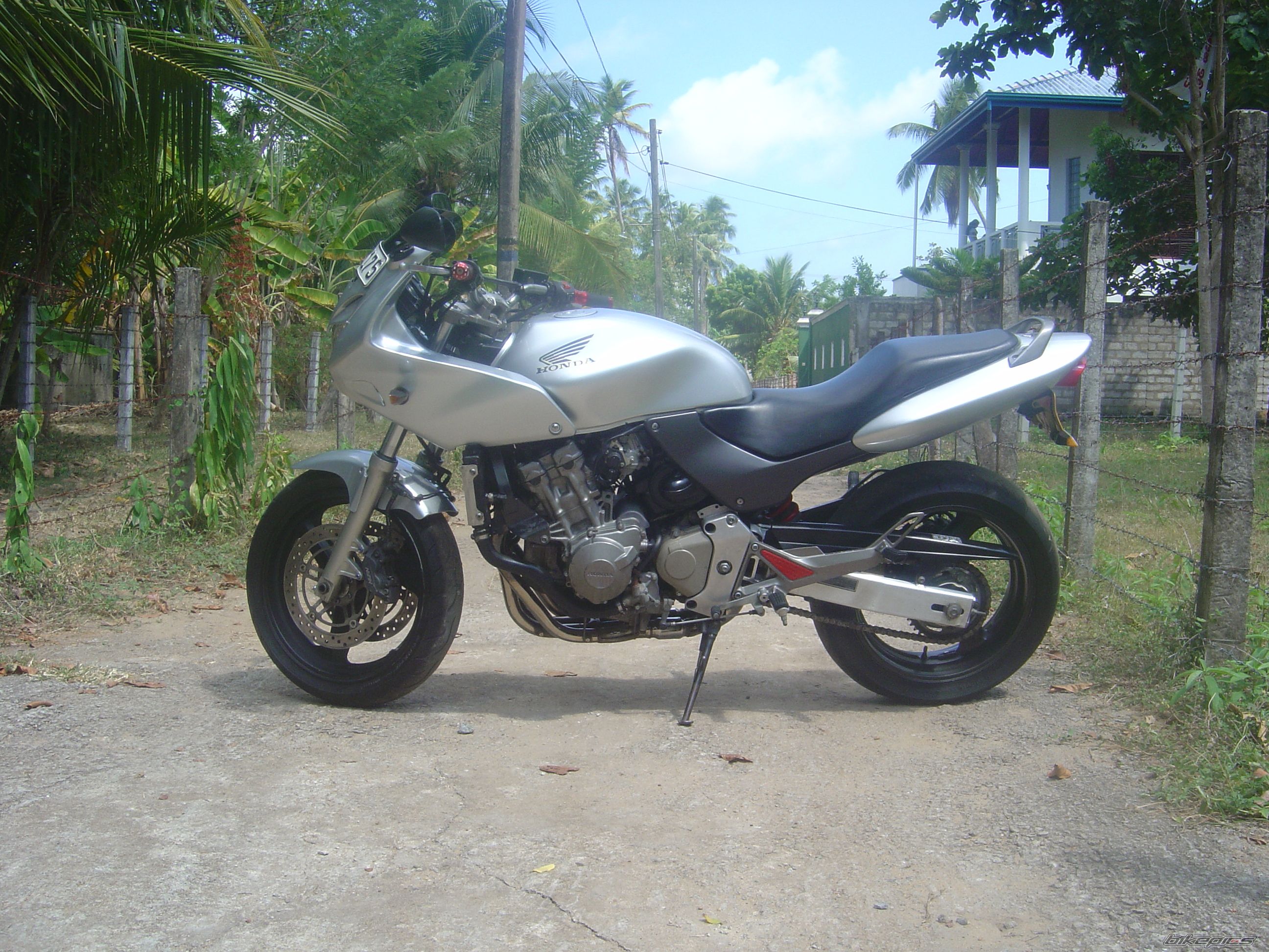 Photo 2316253